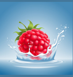 Raspberry In Water Splash