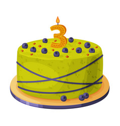 Candle On Birthday Cake With 3 Number Age Festive