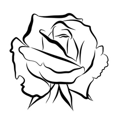 Sketch line drawing of rose Royalty Free Vector Image