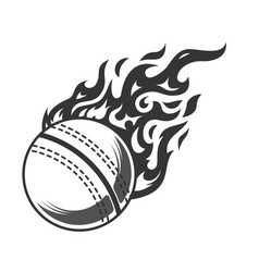 Hot Cricket Ball Fire Logo Silhouette Cricket