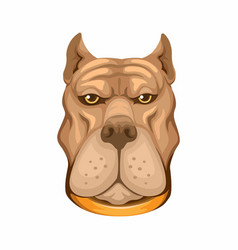 Pitbull Dog Head Animal Character Cartoon