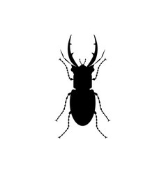 Black And White Giant Stag Beetle Clipart