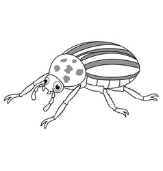 Colorado Beetle Cartoon Line Art