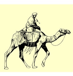 Bedouin Riding A Camel