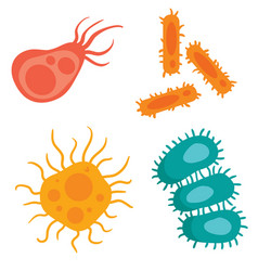 Different Kinds Viruses Bacteria Biology