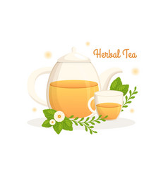 Herbal Tea With Chamomile Leaves Of Health Drink