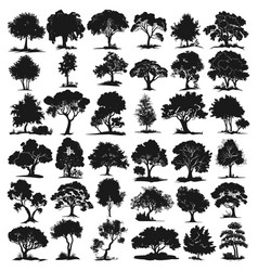 Tree Silhouettes Trees Foliage Black Stencils