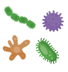 Different Kinds Viruses Bacteria Biology