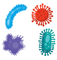 Different Kinds Viruses Bacteria Biology