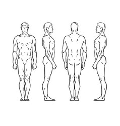 Male Body Man Outline Back