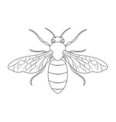 Black And White Honeybee Clipart Coloring Page