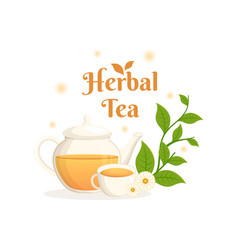 Herbal Tea With Chamomile Leaves Of Health Drink