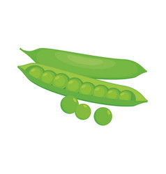 Fresh Green Pea Pod Icon Set