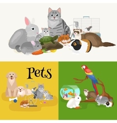 Home pets set cat dog parrot goldfish hamster Vector Image