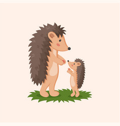 Hedgehog Forest Animal Mom And Child Wild