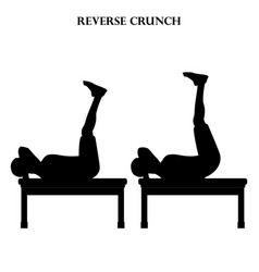 Reverse Crunch Exercise Strength Workout