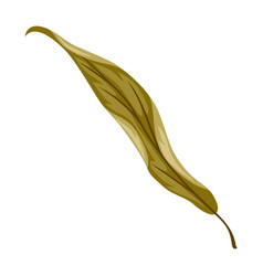 Willow Chestnut Leaf Stylized