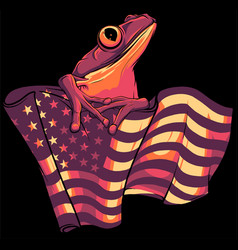 Frog With Usa Flag On Black Background