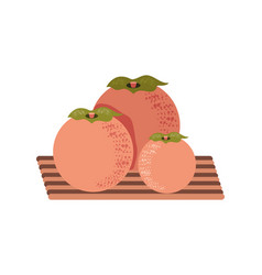 Persimmon Fruit Icon