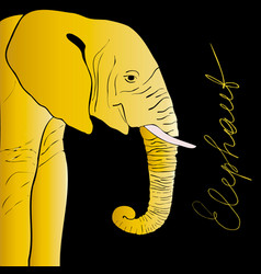 Golden Hand-drawn Elephant On A Black