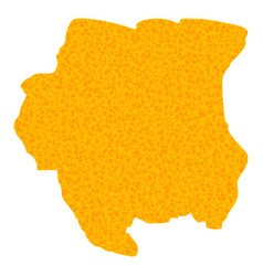 Golden Map Of Suriname