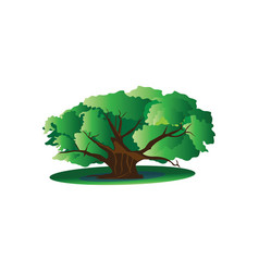 Tree Icon Color Design