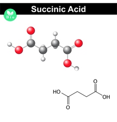 Succinic Acid Molecule