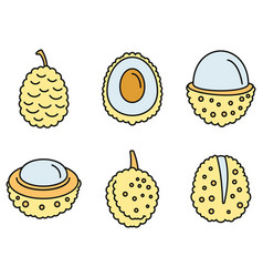 Asian Lychees Icons Set Color