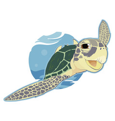 Chelonia Mydas - Green Sea Turtle - Swimming