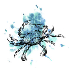 Underwater World Clipart With Sea Animals Crab