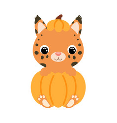 Cute Little Lynx Sitting In A Pumpkin Cartoon