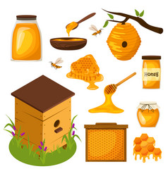 Honey Cartoon Collection