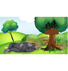 Scene With Gorilla Sleeping Under Tree