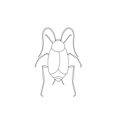 Black And White Oriental Cockroach Clipart