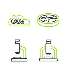 Set Line Microscope Petri Dish With Bacteria