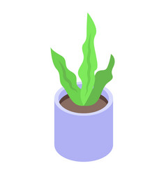 Spirulina Plant Pot Icon Isometric Alga