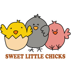 Group Of Three Sweet Little Chicks