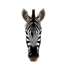 Zebra Head Portrait From A Splash Watercolor