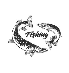 Fishing Fresh Seafood Template Design