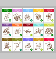 Sketch Herbal Tea Labels Collection