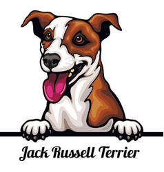 Jack Russell Terrier - Color Peeking Dogs - Breed