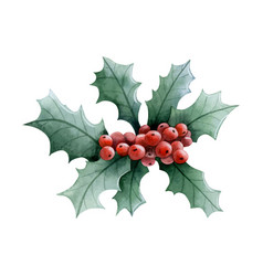 Christmas Holly Plant With Red Berries And Leaves