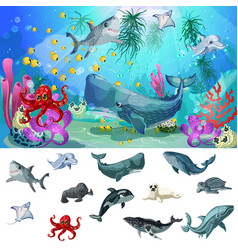 Cartoon Sea And Ocean Fauna Concept