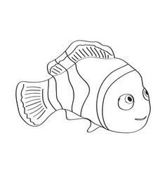 Image Of Clown Fish Sketch Black And White Color