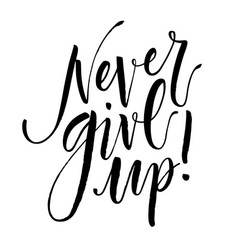 Never give up hand drawn inspirational quote Vector Image