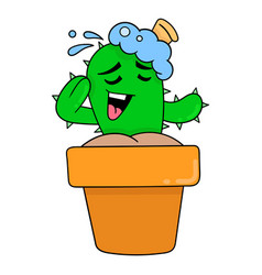 Cactus Is In The Bath Pot Garden Cleaning Up