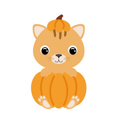 Cute Little Cat Sitting In A Pumpkin Cartoon