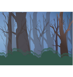 Forest Trees At Night Isolated