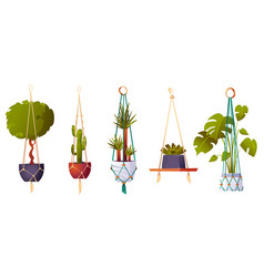 Macrame Hangers With Green House Plants