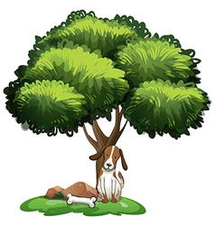 Dog Under Tree